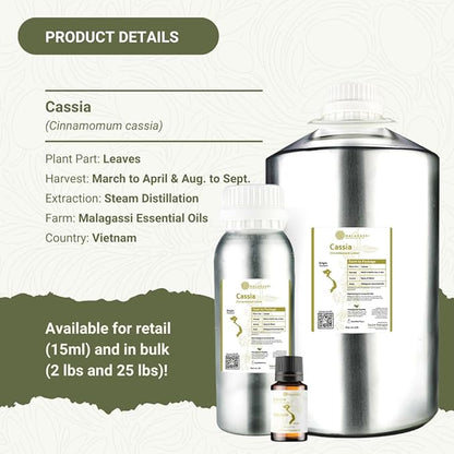 Cassia Essential Oil - Image 2