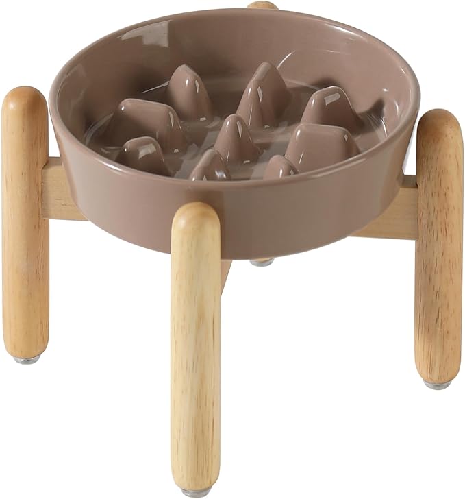 Ceramic 1.2 Cup Dog Raised Slow Feeder Set, Elevated Bowl by Havniva