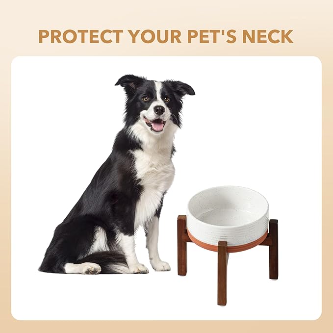 Ceramic 7.3inch Raised Dog Bowl Set, Elevated - Image 6