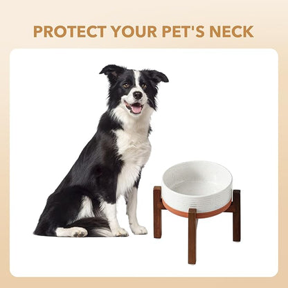 Ceramic 7.3inch Raised Dog Bowl Set, Elevated - Image 6