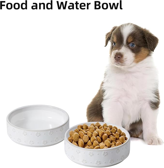 6.1inch Ceramic Set of 2 Dog and Cat Bowls, Food and Water Bowls - Image 4