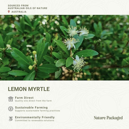Lemon Myrtle Essential Oil - Image 3