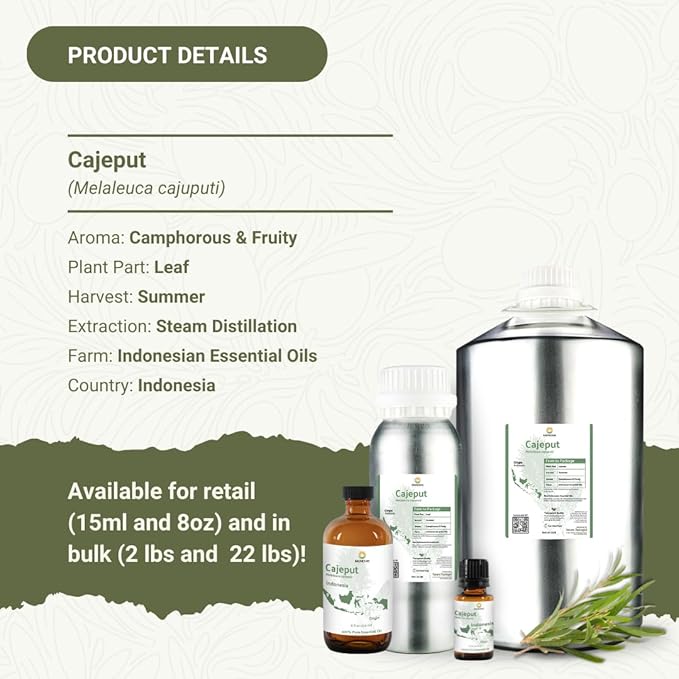 Cajeput Essential Oil - Image 4