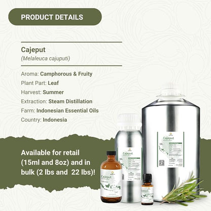 Cajeput Essential Oil - Image 4
