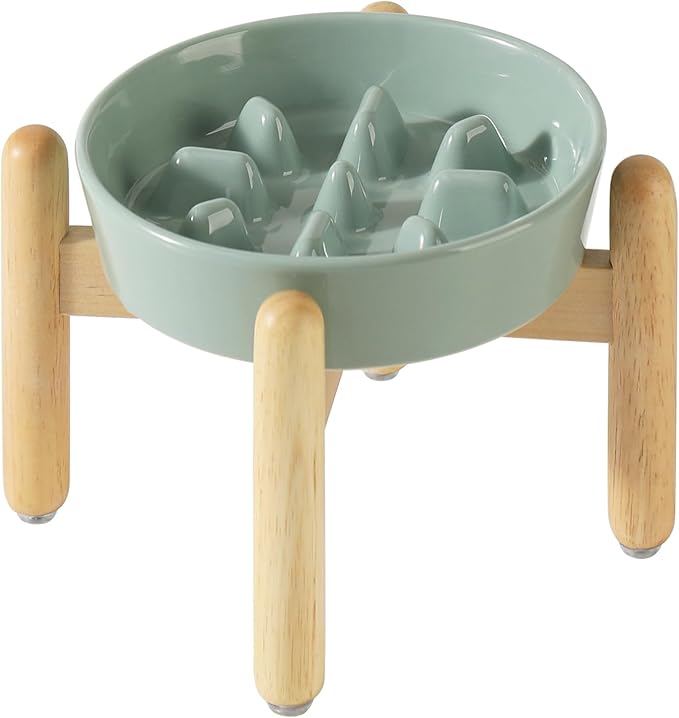 Ceramic 1.2 Cup Dog Raised Slow Feeder Set, Elevated Bowl by Havniva