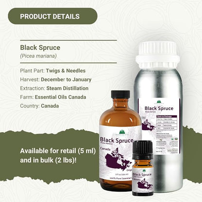 Black Spruce Essential Oil from Canada - Image 4