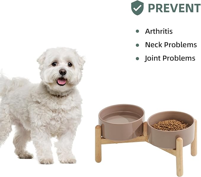 Ceramic 6.1inch Raised Dog Bowl - Image 5