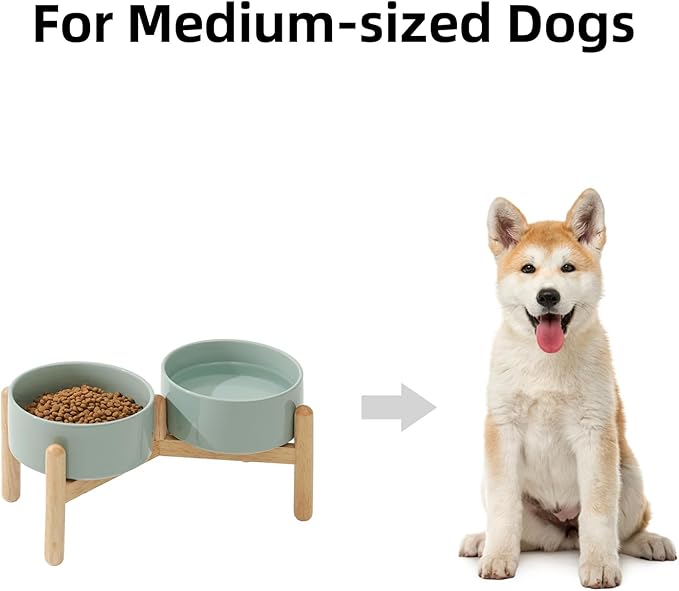 Ceramic 6.1inch Raised Dog Bowl - Image 4