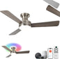 Homlit 42" RGB Ceiling Fan by Homlit