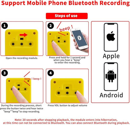 16MB Voice Recorder Box with Speaker, Support Bluetooth & MIC Recording Audio - Image 4