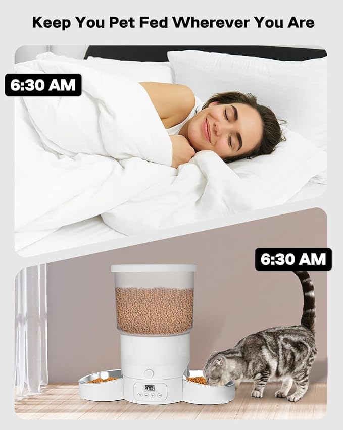 SURDY Automatic Cat Feeder - Image 3