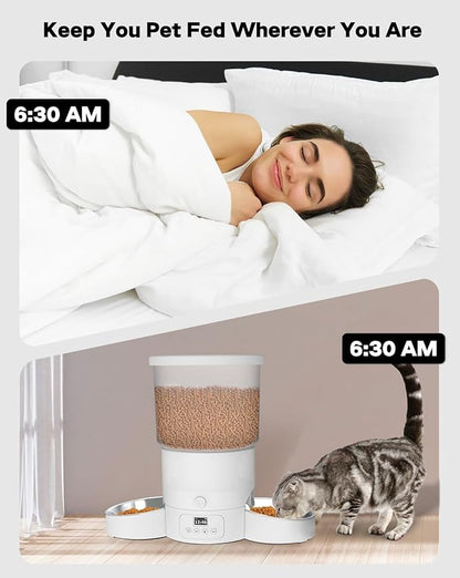 SURDY Automatic Cat Feeder - Image 3
