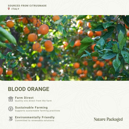 Blood Orange Essential Oil - Image 3