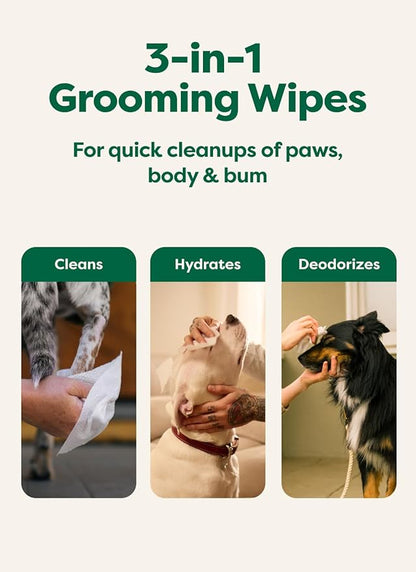 Earth Rated Dog Wipes, Hypoallergenic, Cleaning and Hydrating, - Image 4