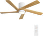 WINGBO 54 Inch Flush Mount DC Ceiling Fan by HomePage