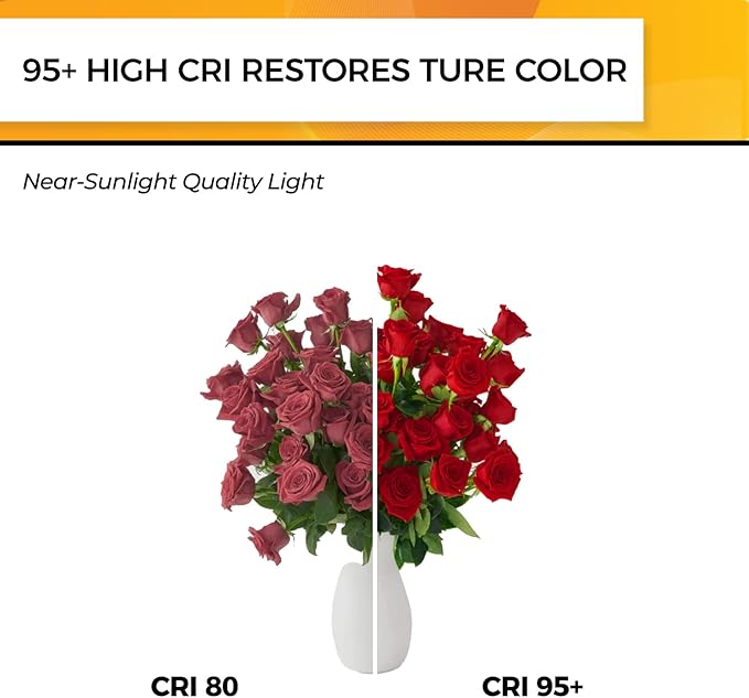 Hizashi Edison Bulb 60 Watt LED, 2700K Dimmable LED Light Bulbs E26 Base - Image 4
