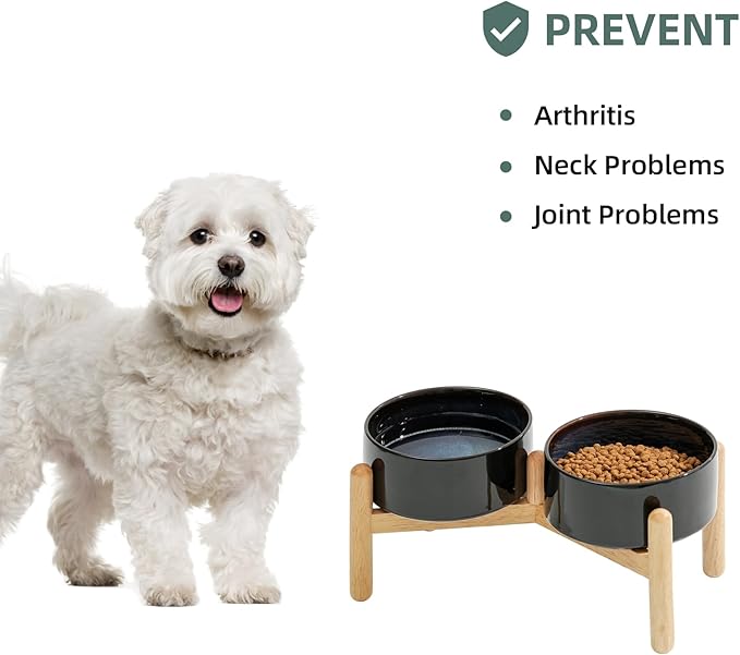 Ceramic 6.1inch Raised Dog Bowl - Image 6