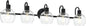 WINSHEN 5-Lights Black Bathroom Vanity Light Fixtures Over Mirror, Modern by WINSHENLighting