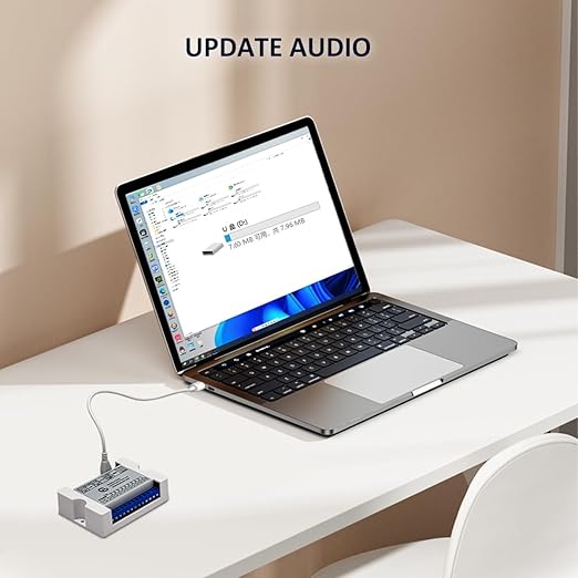 Voice Playback Module with 1GB Card, 80W Low Lever Trigger DC 9-24V CH358D Chip - Image 6