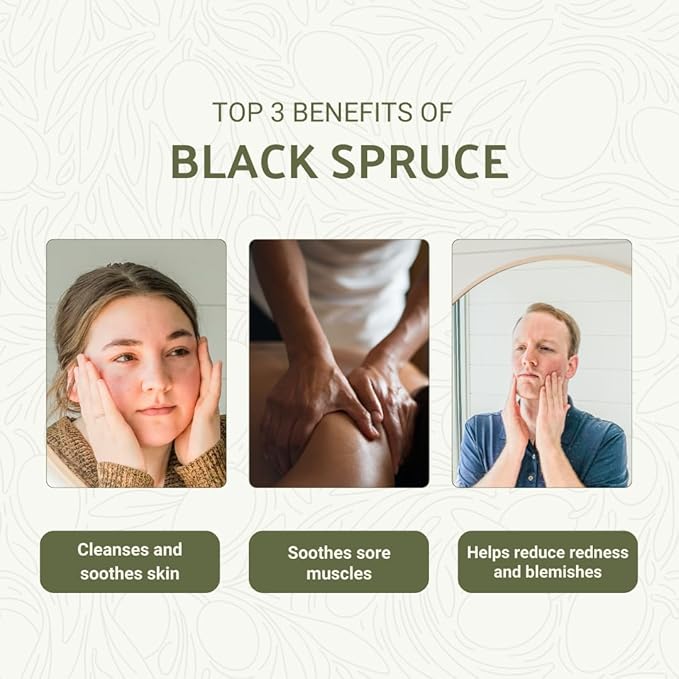 Black Spruce Essential Oil from Canada - Image 2