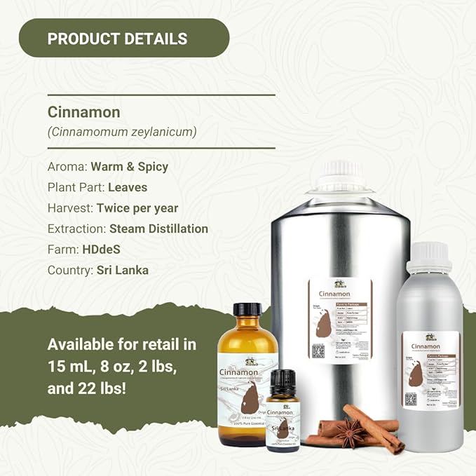 Cinnamon Essential Oil - Image 5