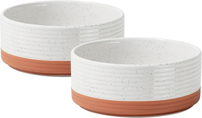 Ceramic 5.1inch Set of 2 Dog and Cat Bowls by Havniva