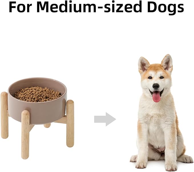 Ceramic 6.1inch Raised Dog Bowl - Image 3