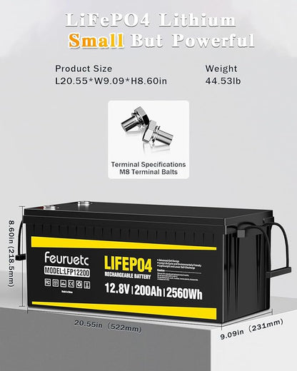 12V 200Ah Lithium LiFePO4 Battery, Built-in 200A BMS, 2560Wh Energy Storage - Image 2
