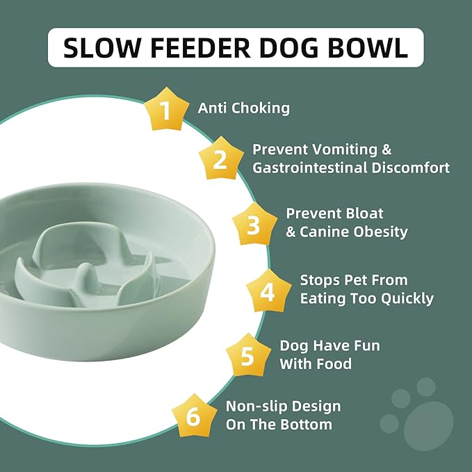 Ceramic 0.9 Cup Dog Bowl Slow Feeder - Image 6