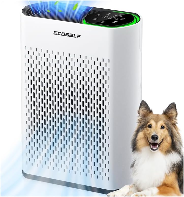 air purifier for large room, cleans 2,400 ft², main product view