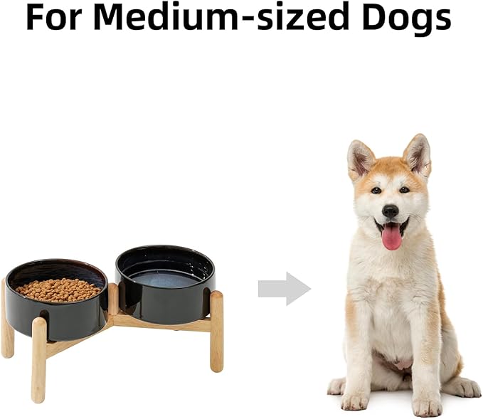 Ceramic 6.1inch Raised Dog Bowl - Image 5