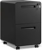 DEVAISE 2-Drawer Rounded Corner Metal File Cabinet by DEVAISE