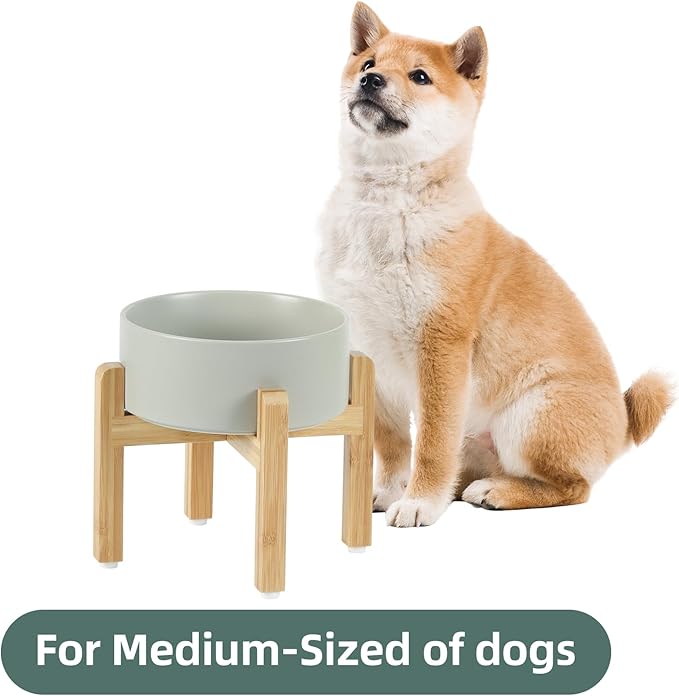 Ceramic Raised Dog Bowl Set, Elevated - Image 4