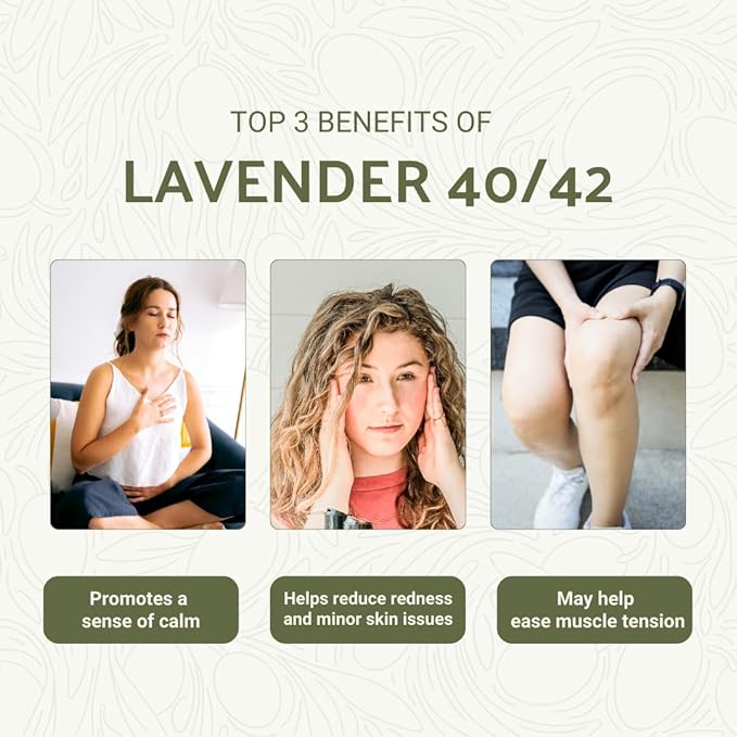 Lavender 40/42 Essential Oil Direct from France - Image 3