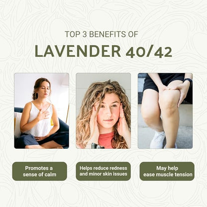 Lavender 40/42 Essential Oil Direct from France - Image 3