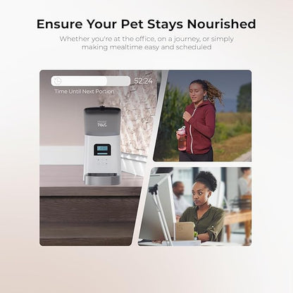 Penthouse Paws Automatic Cat Feeder - Image 6
