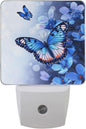 Pigsaly Led Night Light Flowers Blue Butterfly Night Light Plug in Wall Lamp by Pigsaly