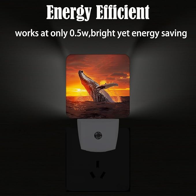 FSHVQKD Sunset Humpback Whale Night Light, Plug Into Wall - Image 4
