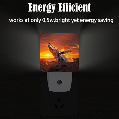 FSHVQKD Sunset Humpback Whale Night Light, Plug Into Wall - Image 4