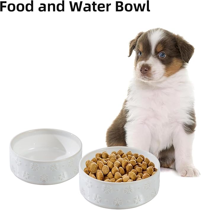 Ceramic 5.1inch Set of 2 Dog and Cat Bowls - Image 5