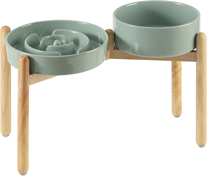 3.2 Cup Ceramic Raised Slow Feeder Dog Bowl Set, Elevated 8.2inch Bowl and by Havniva