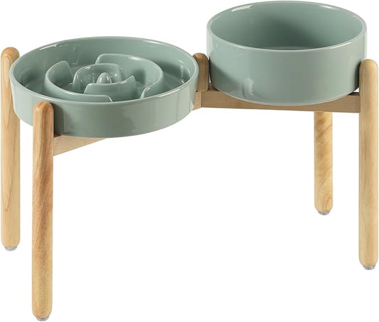 3.2 Cup Ceramic Raised Slow Feeder Dog Bowl Set, Elevated 8.2inch Bowl and by Havniva