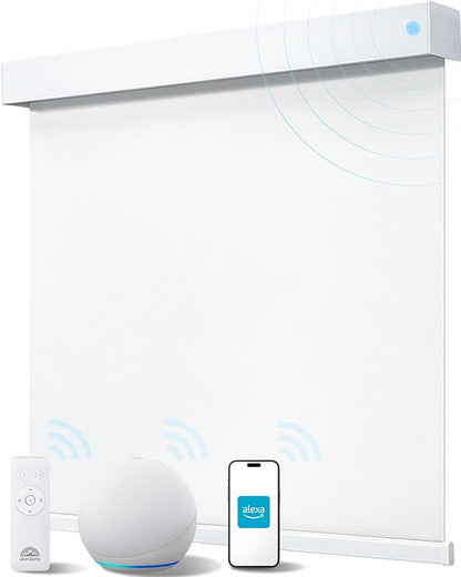 Smart Roller Shades for Windows, Alexa Blackout Motorized Blinds by JaeJaes