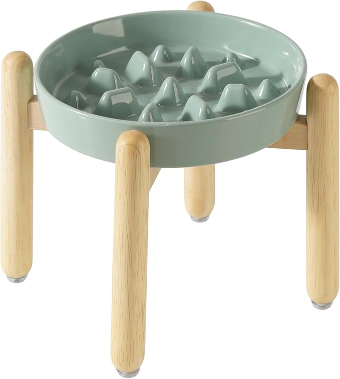 Ceramic 1.6 Cup Dog Raised Slow Feeder Set, Elevated Bowl by Havniva