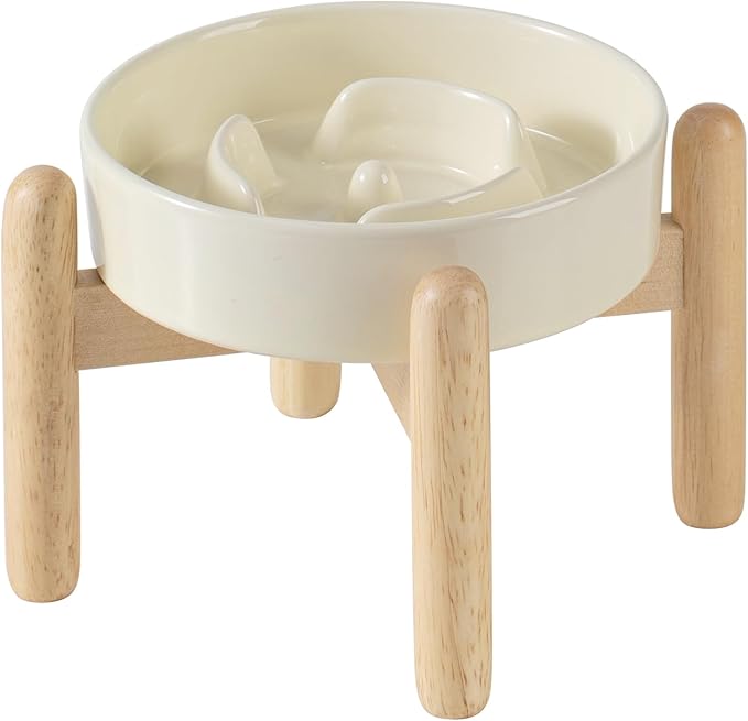 Ceramic 0.9 Cup Raised Dog Slow Feeder Set, Elevated Bowl by Havniva