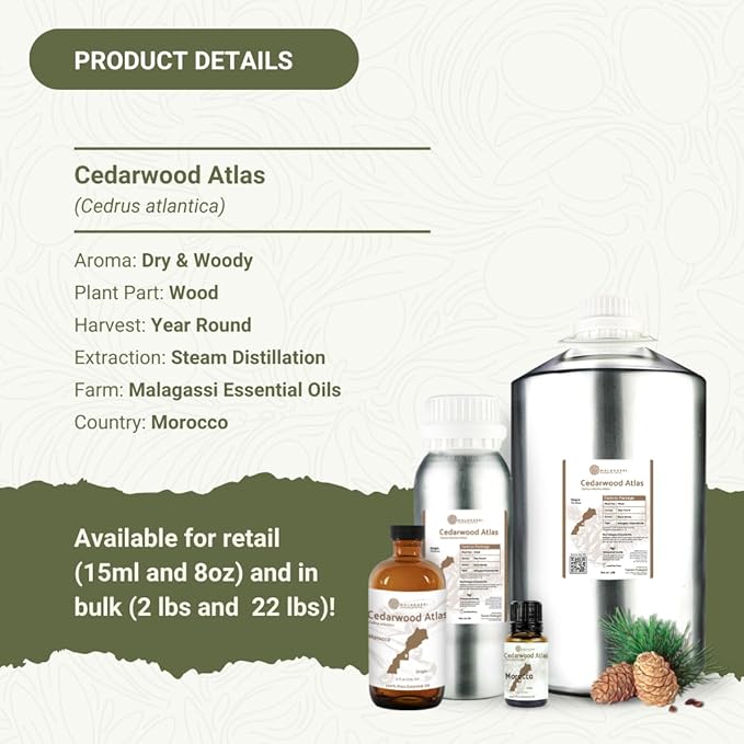 Cedarwood Atlas Essential Oil - Image 4