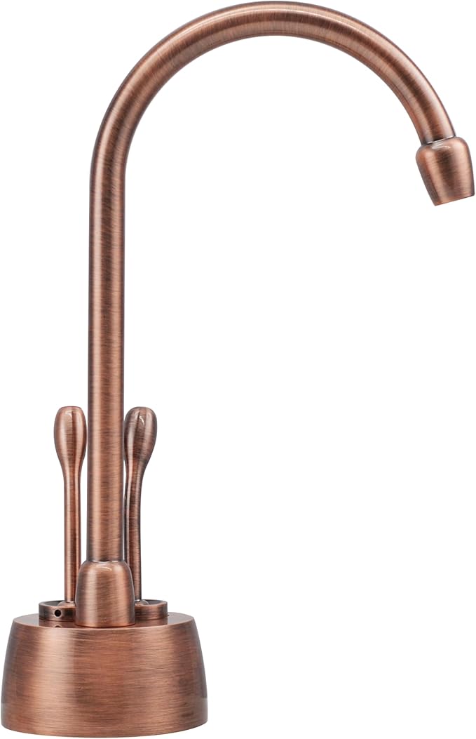 Westbrass A272HFP-11 Develosah 2-Handle Hot and Cold Water Dispenser - Image 4