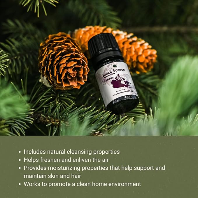 Organic Black Spruce Essential Oil from Canada - Image 2