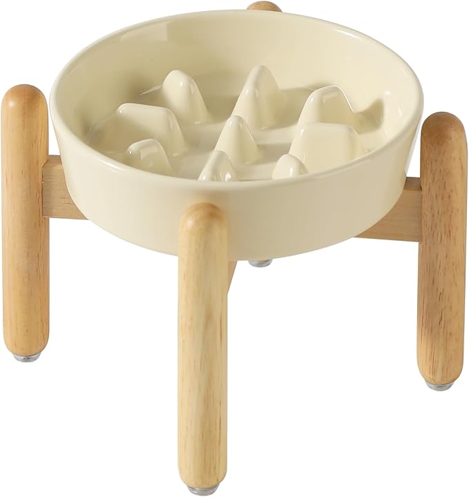 Ceramic 1.2 Cup Dog Raised Slow Feeder Set, Elevated Bowl by Havniva