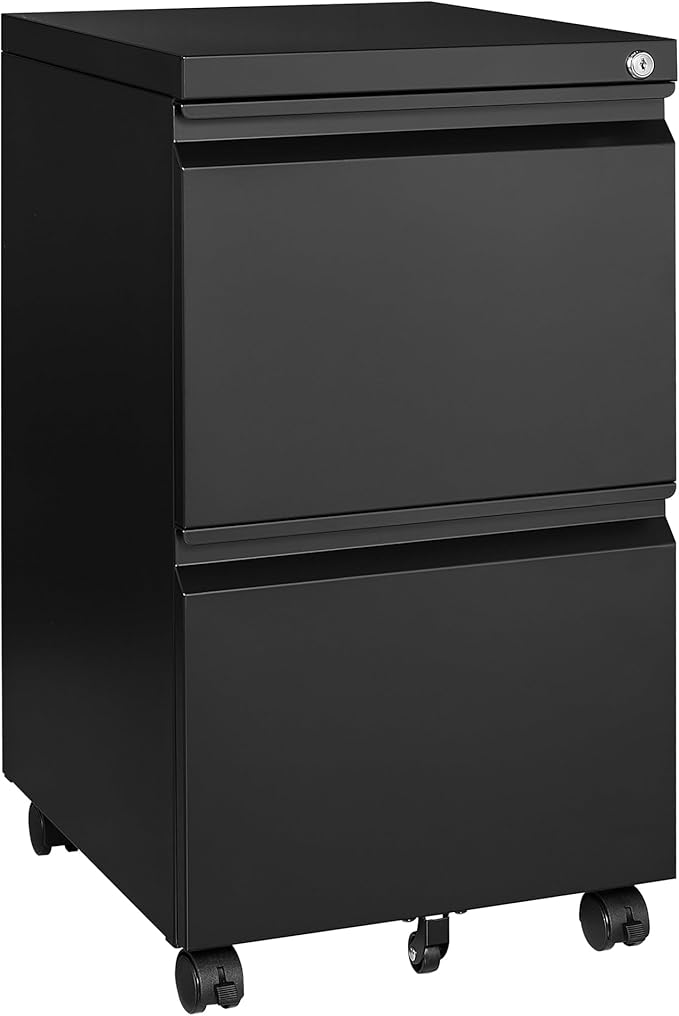 Letaya Mobile File Cabinet by LetayaMetalCabinets